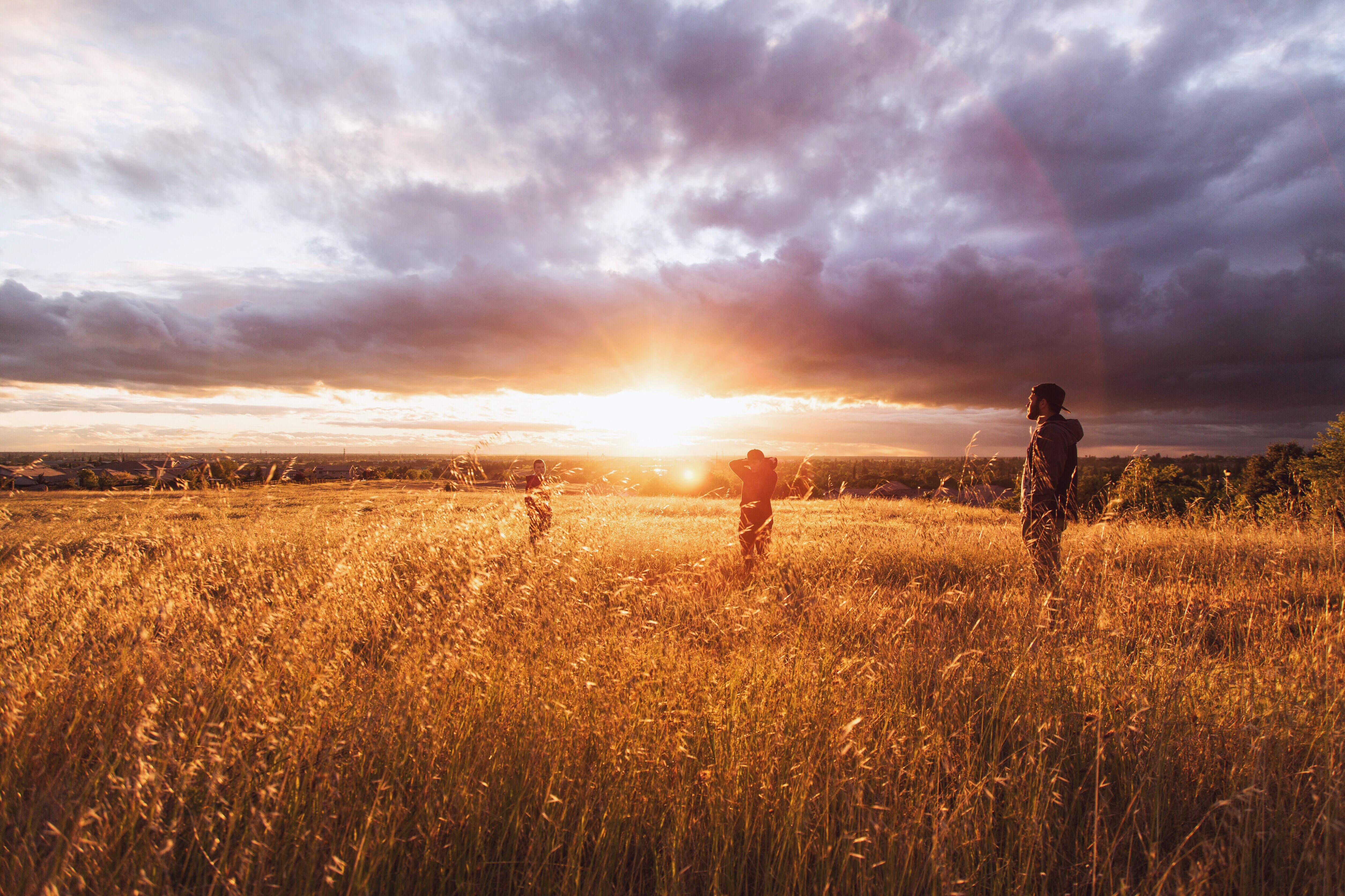 A family silhouetted against a golden sunset, standing together in a field of wheat. The focus of the image is on their togetherness, representing the strength and unity of a family. The warm colors of the sunset create a peaceful and calming atmosphere, suggesting the healing benefits of family therapy in Connecticut. The image evokes a sense of hope and the idea that with support and guidance, families can overcome challenges and build stronger relationships.