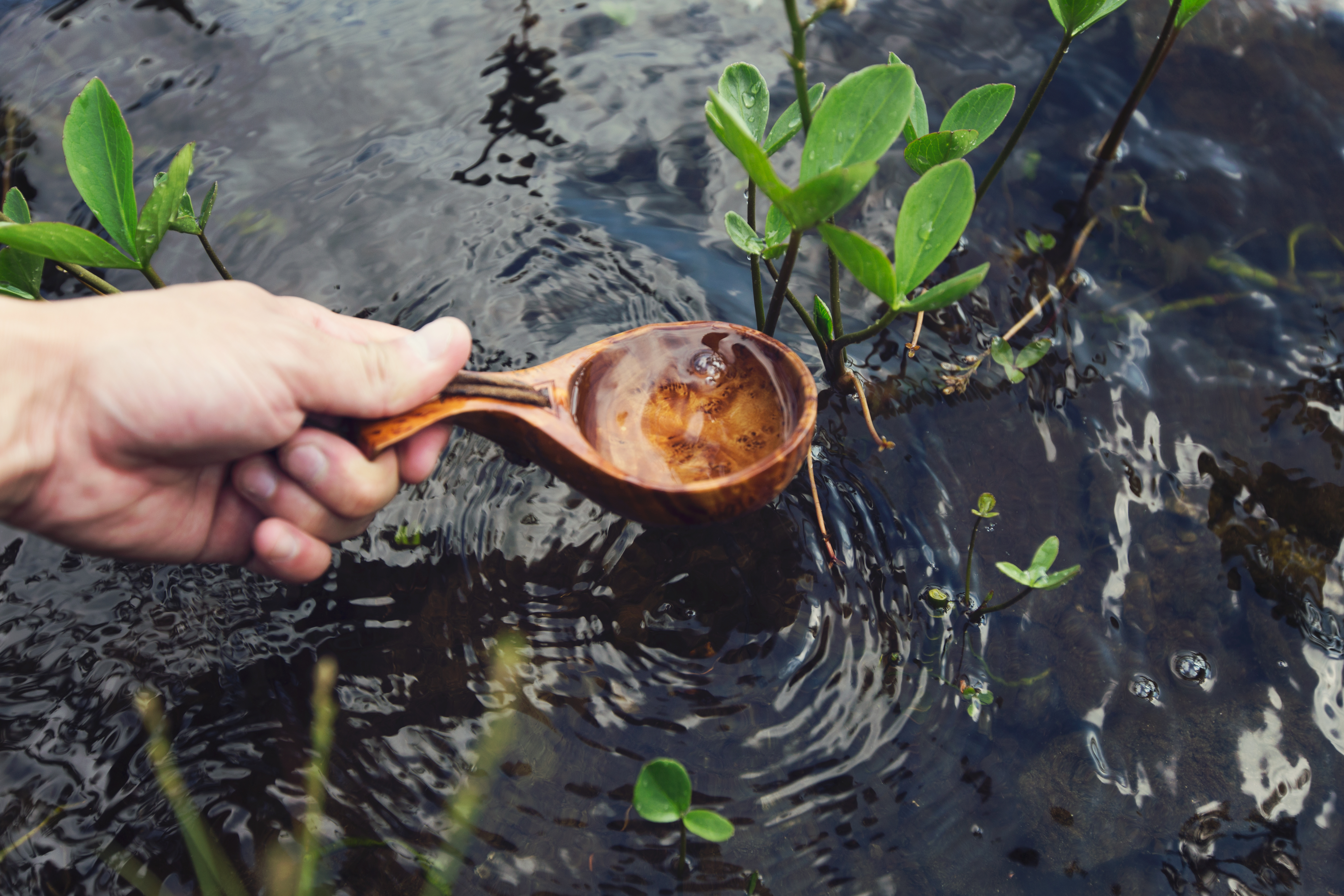 A person's hand is seen dipping a wooden spoon into a body of water, creating ripples on the surface. The image suggests mindfulness and relaxation. It could be used to represent the benefits of Dialectical Behavior Therapy in Connecticut, which helps individuals to regulate emotions and improve mindfulness skills.